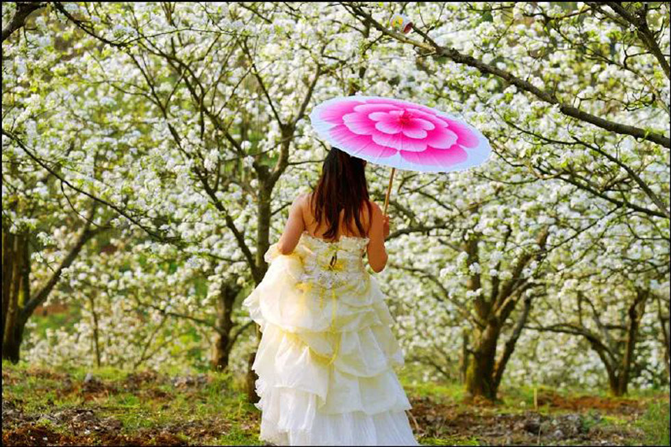 【春天，广西桂林灌阳县向您发出邀请！】我们在灌阳看梨花 - 游山玩水 - 乌鲁木齐生活社区 - 乌鲁木齐28生活网 xj.28life.com