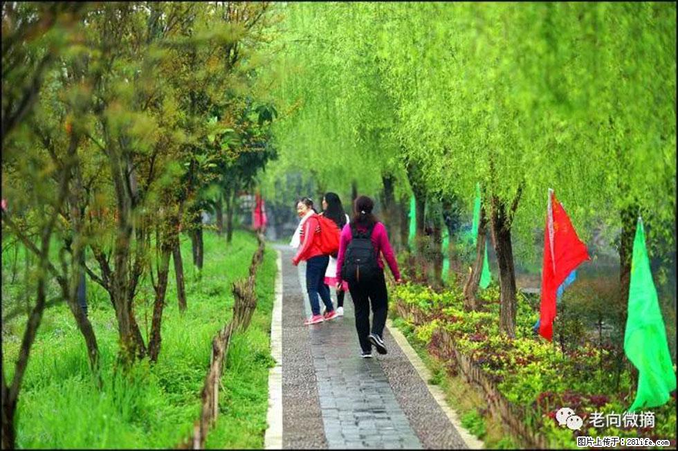 【春天,广西桂林灌阳县向您发出邀请!】江口老街又逢春 - 游山玩水 - 乌鲁木齐生活社区 - 乌鲁木齐28生活网 xj.28life.com