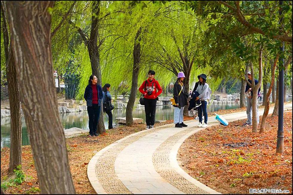 【春天,广西桂林灌阳县向您发出邀请!】江口老街又逢春 - 游山玩水 - 乌鲁木齐生活社区 - 乌鲁木齐28生活网 xj.28life.com