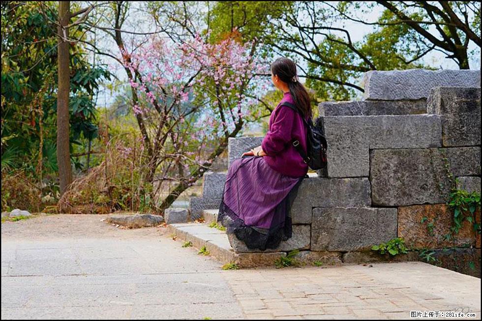 【春天,广西桂林灌阳县向您发出邀请!】江口老街又逢春 - 游山玩水 - 乌鲁木齐生活社区 - 乌鲁木齐28生活网 xj.28life.com