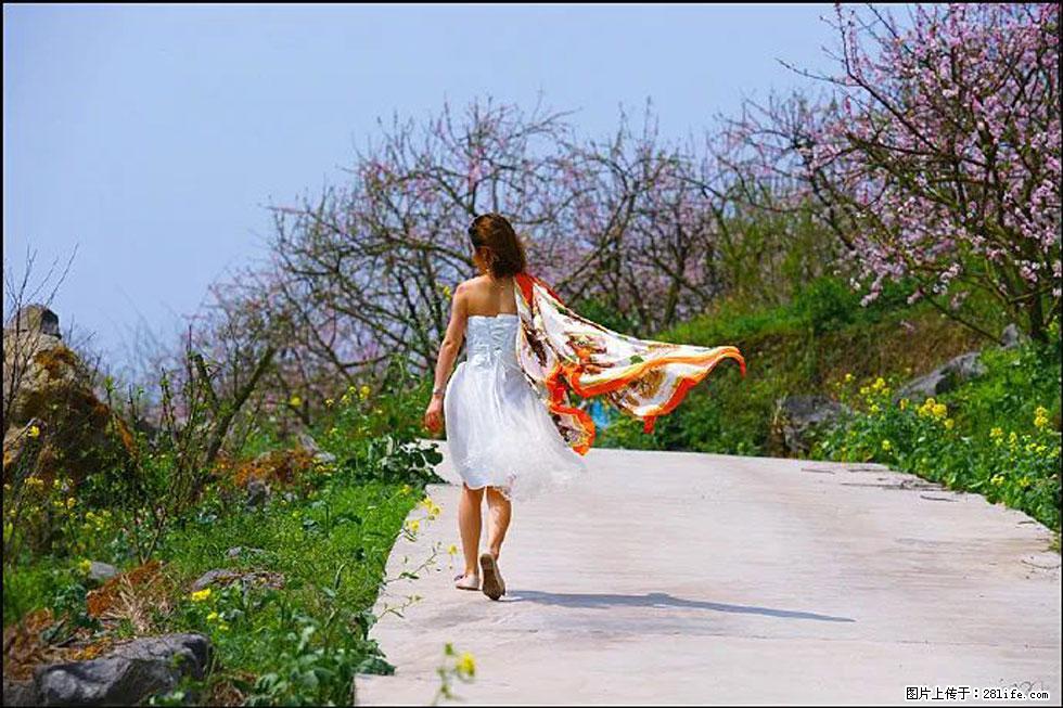 【春天,广西桂林灌阳县向您发出邀请!】望月岭上桃花开 - 游山玩水 - 乌鲁木齐生活社区 - 乌鲁木齐28生活网 xj.28life.com