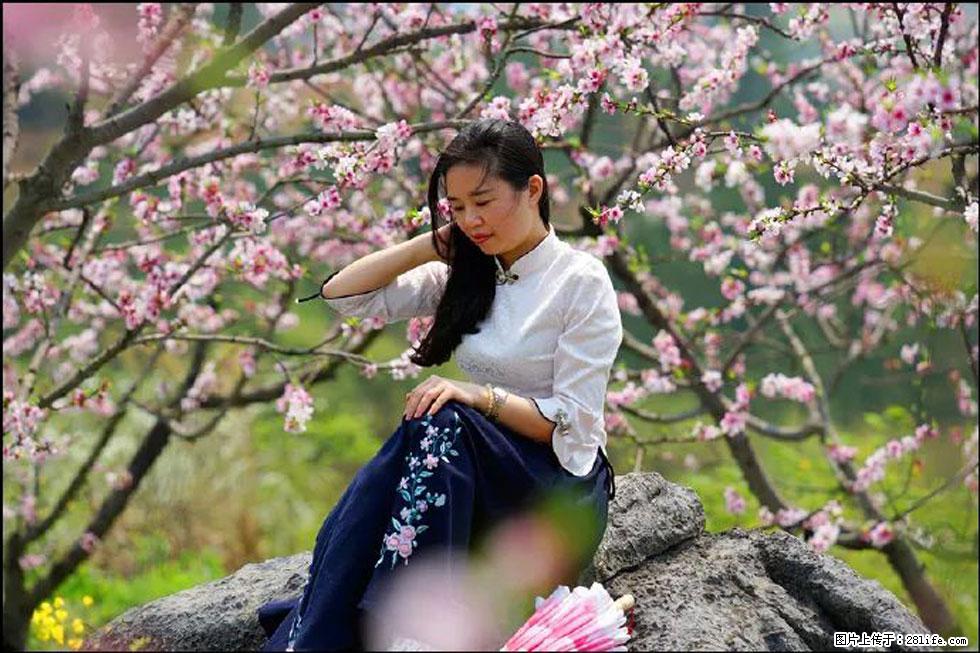【春天,广西桂林灌阳县向您发出邀请!】望月岭上桃花开 - 游山玩水 - 乌鲁木齐生活社区 - 乌鲁木齐28生活网 xj.28life.com