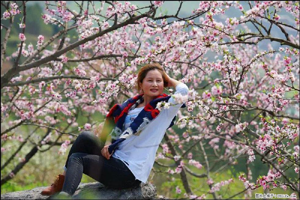 【春天,广西桂林灌阳县向您发出邀请!】望月岭上桃花开 - 游山玩水 - 乌鲁木齐生活社区 - 乌鲁木齐28生活网 xj.28life.com