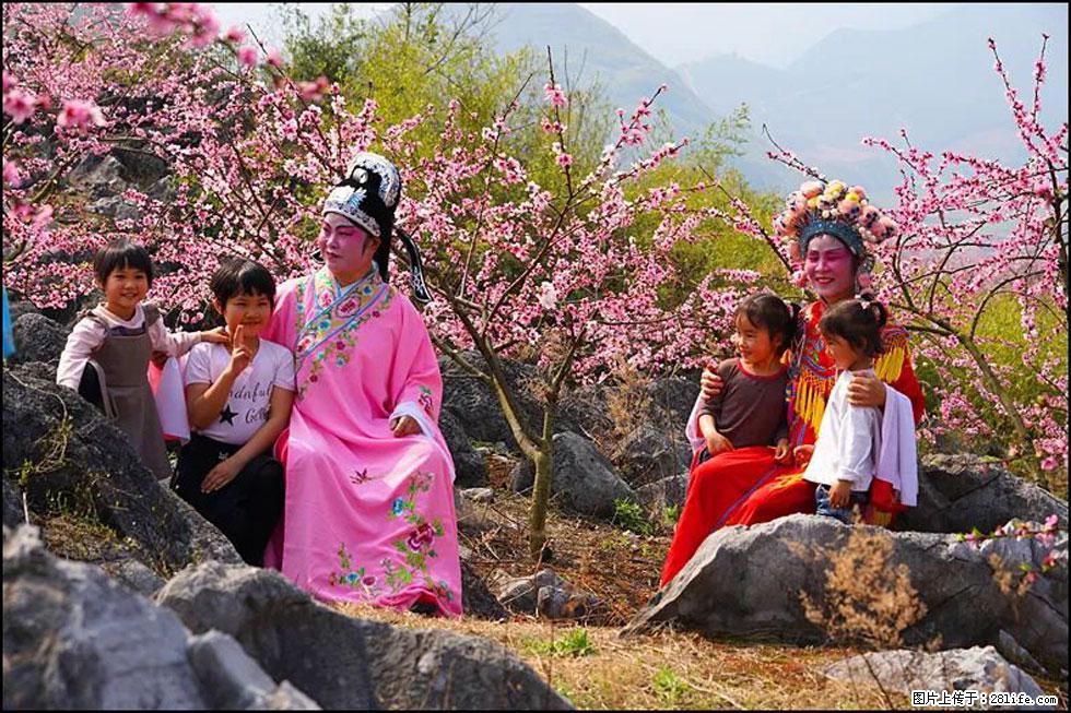 【春天,广西桂林灌阳县向您发出邀请!】望月岭上桃花开 - 游山玩水 - 乌鲁木齐生活社区 - 乌鲁木齐28生活网 xj.28life.com