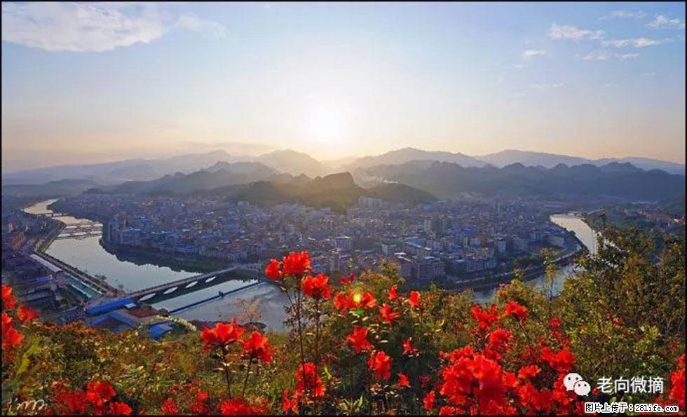 【春天,广西桂林灌阳县向您发出邀请!】登麒麟山,相约映山红 - 游山玩水 - 乌鲁木齐生活社区 - 乌鲁木齐28生活网 xj.28life.com