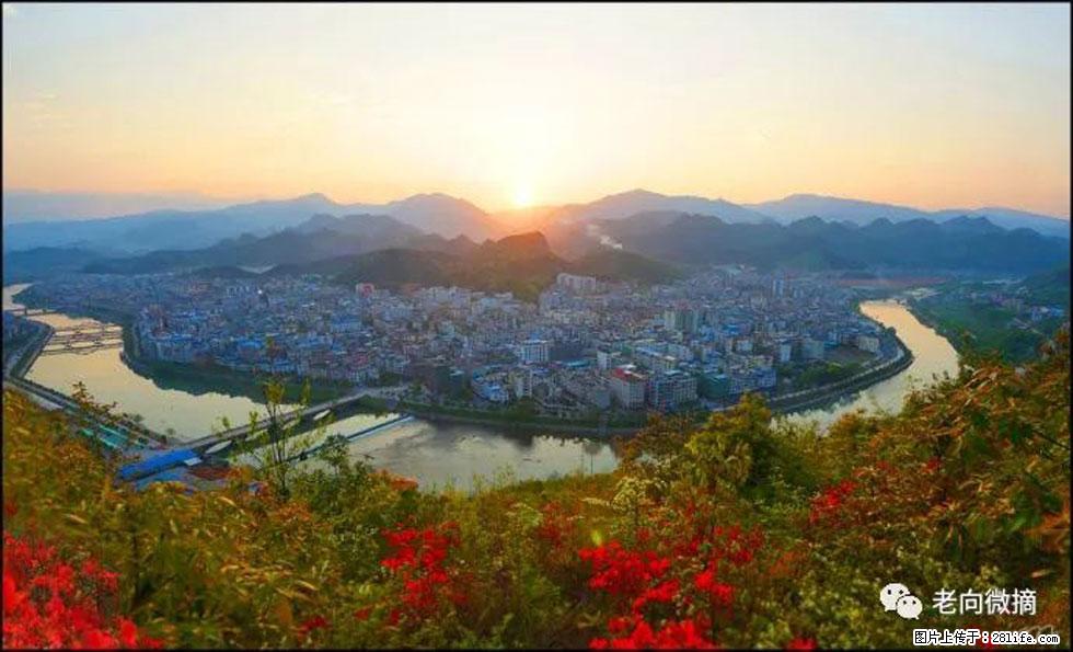 【春天,广西桂林灌阳县向您发出邀请!】登麒麟山,相约映山红 - 游山玩水 - 乌鲁木齐生活社区 - 乌鲁木齐28生活网 xj.28life.com