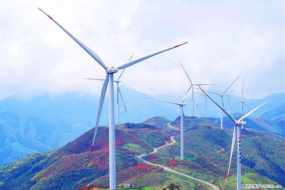 【春天，广西桂林灌阳县向您发出邀请！】春木界上映山红 - 游山玩水 - 乌鲁木齐生活社区 - 乌鲁木齐28生活网 xj.28life.com