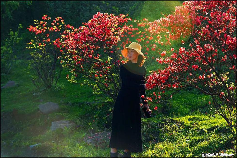 【春天，广西桂林灌阳县向您发出邀请！】春木界上映山红 - 游山玩水 - 乌鲁木齐生活社区 - 乌鲁木齐28生活网 xj.28life.com