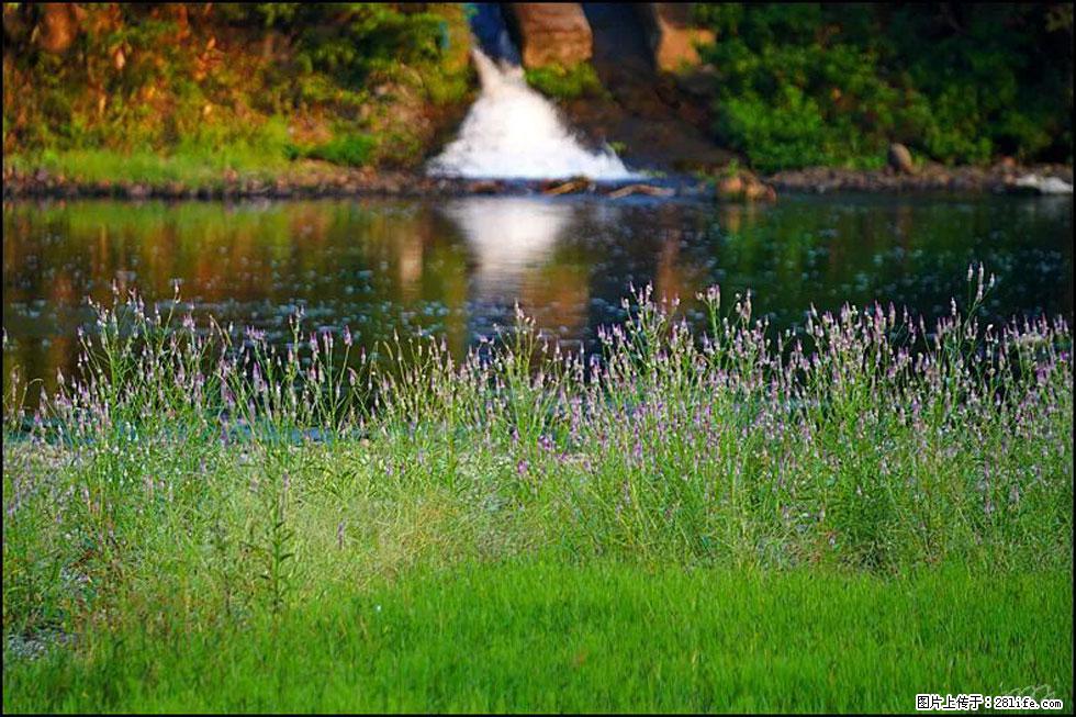 【春天,广西桂林灌阳县向您发出邀请!】熊家寨湿地公园 - 游山玩水 - 乌鲁木齐生活社区 - 乌鲁木齐28生活网 xj.28life.com