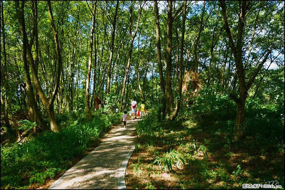 【春天,广西桂林灌阳县向您发出邀请!】熊家寨湿地公园 - 游山玩水 - 乌鲁木齐生活社区 - 乌鲁木齐28生活网 xj.28life.com