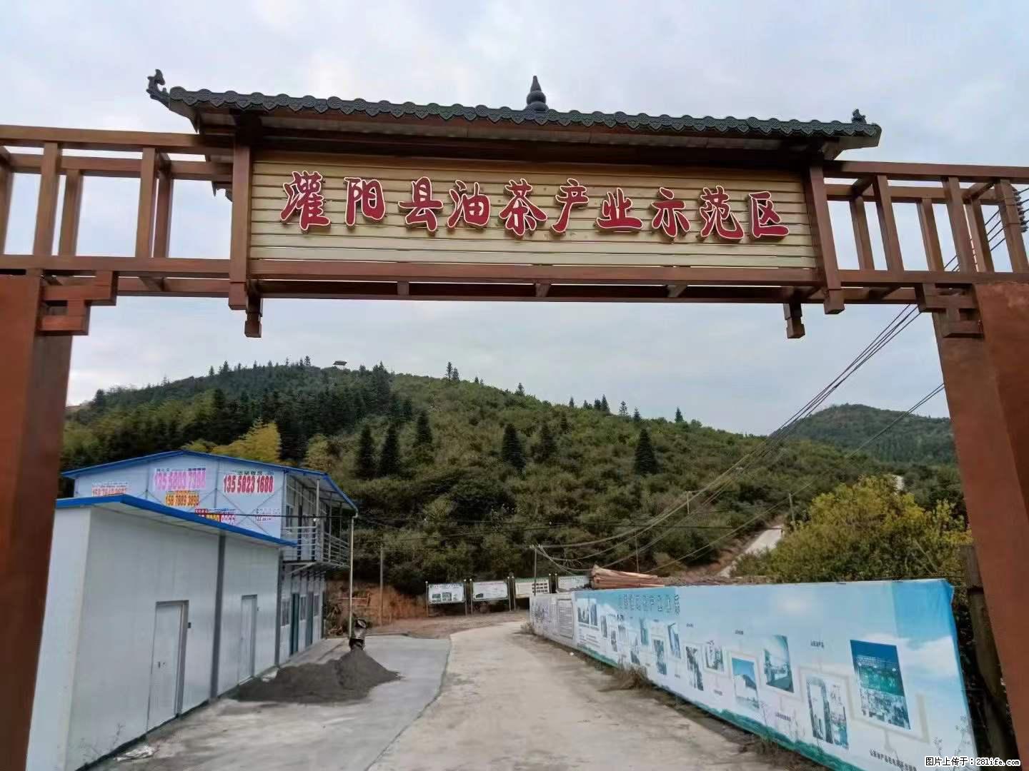 【灌阳县油茶产业示范区】一个有着充实的精神生活的人,对待身外之物自会有一种淡泊的态度 - 土特产 - 饮食特产 - 乌鲁木齐分类信息 - 乌鲁木齐28生活网 xj.28life.com