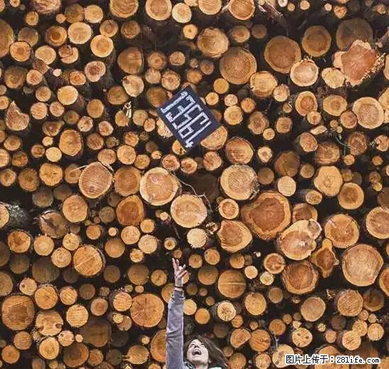 辞掉工作周游世界?现在他们在洗厕所…… - 游山玩水 - 乌鲁木齐生活社区 - 乌鲁木齐28生活网 xj.28life.com