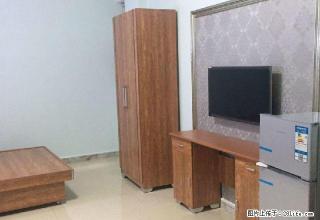 阿勒泰路阿勒泰路头宫 1室1厅33平米 豪华装修 押一付一 - 乌鲁木齐28生活网 xj.28life.com