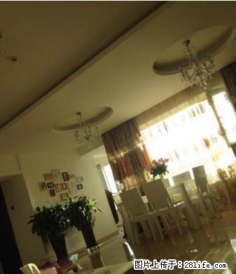 重点小西门汇丰公寓楼146平米精美装修全新住家家具出租 - 房屋出租 - 房屋租售 - 乌鲁木齐分类信息 - 乌鲁木齐28生活网 xj.28life.com