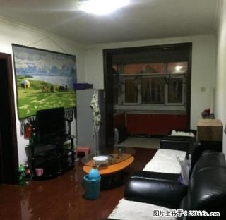 红拾月北一区45平7楼精装修1800元出租 - 乌鲁木齐28生活网 xj.28life.com