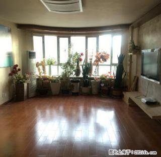 可注.册好地段友好明慧园179平 复式精装 适合办公美容等 - 乌鲁木齐28生活网 xj.28life.com