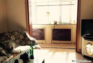 医学院鲤鱼山公园65平米2室出租1500包暖气拎包住停车免费 - 乌鲁木齐28生活网 xj.28life.com