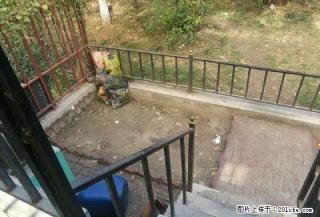 商流苑办公优选房 153平 大通间3室 3200/月 有钥匙 - 乌鲁木齐28生活网 xj.28life.com