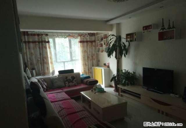 开发区卫星路金阳卫星花园精装两室拎包入住 - 房屋出租 - 房屋租售 - 乌鲁木齐分类信息 - 乌鲁木齐28生活网 xj.28life.com