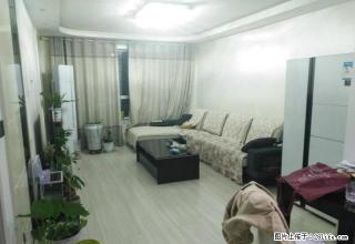 开发区卫星路精装单身公寓拎包入住 - 乌鲁木齐28生活网 xj.28life.com