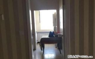 沙区友好三中旁金库肥牛楼上190平米精装四室培训教室急租 - 乌鲁木齐28生活网 xj.28life.com