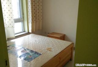 包暖气物业出租多层一楼蓝调一品69平两室拎包入住真实图片 - 乌鲁木齐28生活网 xj.28life.com