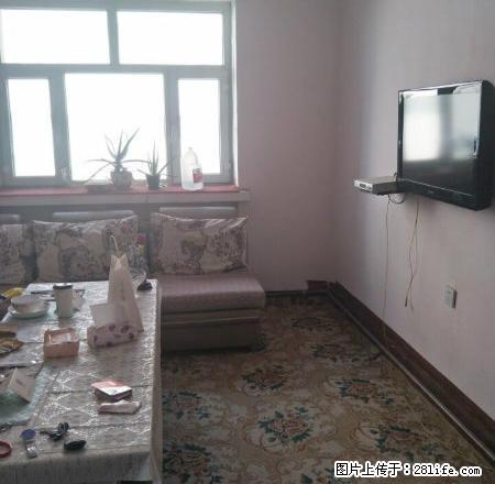 出租西虹路红山市场职大对面房屋5楼 - 房屋出租 - 房屋租售 - 乌鲁木齐分类信息 - 乌鲁木齐28生活网 xj.28life.com