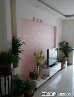 金色嘉园包暖物业85平米1600拎包住干净 - 乌鲁木齐28生活网 xj.28life.com