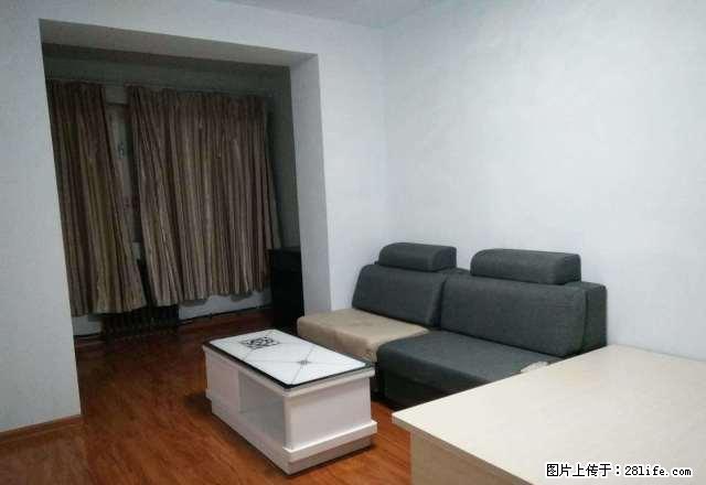 (单间出租)精装公寓 北京路机械厂植物园附近 整租合租均押一付一 - 房屋出租 - 房屋租售 - 乌鲁木齐分类信息 - 乌鲁木齐28生活网 xj.28life.com