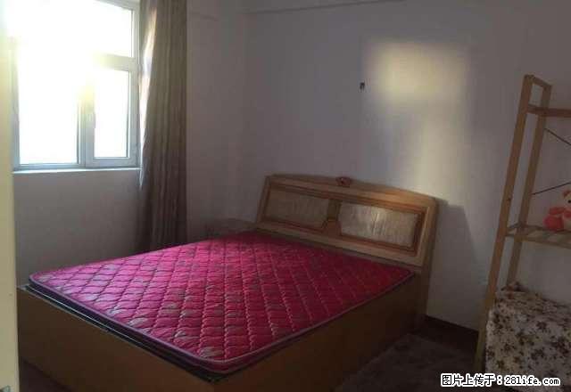 新洲城市花园 天津路 苏州路2室两厅 家电全 拎包住 - 房屋出租 - 房屋租售 - 乌鲁木齐分类信息 - 乌鲁木齐28生活网 xj.28life.com