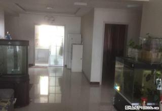 1600包暖气 长春路杭州路路口 2室精装 电梯高层 - 乌鲁木齐28生活网 xj.28life.com