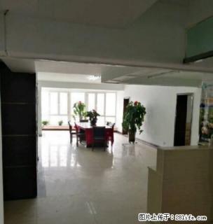 大西门公交车站旁双赢大厦320平简单装修可经营公适合办公培训 - 乌鲁木齐28生活网 xj.28life.com