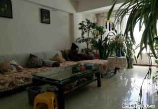 1400包暖气 短租半年 精装修拎包入住 逸仙小区小两室 - 乌鲁木齐28生活网 xj.28life.com