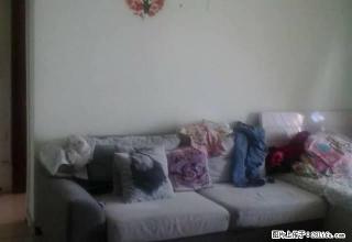 清水湾单身公寓1500出租包暖气物业 拎包入住 - 乌鲁木齐28生活网 xj.28life.com