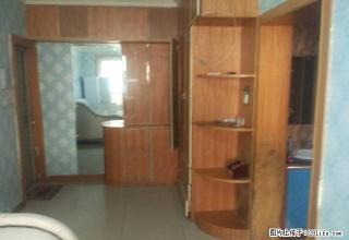 红+月北一区一楼单身公寓50平出租 - 乌鲁木齐28生活网 xj.28life.com