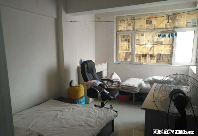 康城果岭 3室1厅1卫 精品房出租 先到先得!好房不等人 - 房屋出租 - 房屋租售 - 乌鲁木齐分类信息 - 乌鲁木齐28生活网 xj.28life.com