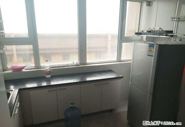 沙区,友好,石油花园,一室精装修,没有诚意的别点。麻烦你我他 - 房屋出租 - 房屋租售 - 乌鲁木齐分类信息 - 乌鲁木齐28生活网 xj.28life.com