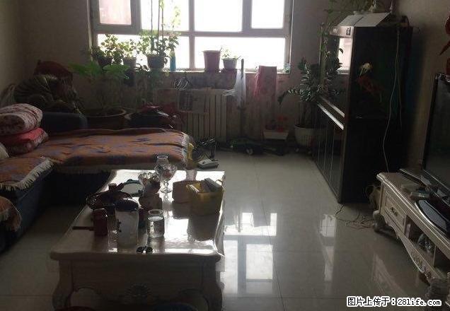 喀什东路 师大旁 金鑫花园 2室 精装 可拎包入住 - 房屋出租 - 房屋租售 - 乌鲁木齐分类信息 - 乌鲁木齐28生活网 xj.28life.com