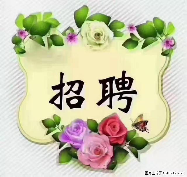 【招聘】住家育儿嫂,上户日期:4月4日,工作地址:上海 黄浦区 - 职场交流 - 乌鲁木齐生活社区 - 乌鲁木齐28生活网 xj.28life.com