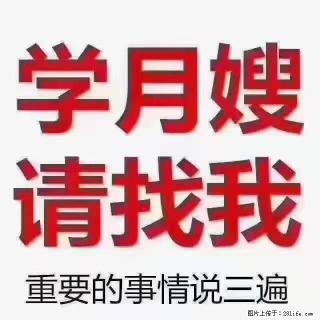 【招聘】月嫂，上海徐汇区 - 乌鲁木齐28生活网 xj.28life.com