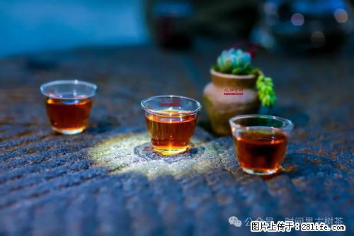 时间果百年古树2025年春红茶 - 购物交流 - 乌鲁木齐生活社区 - 乌鲁木齐28生活网 xj.28life.com