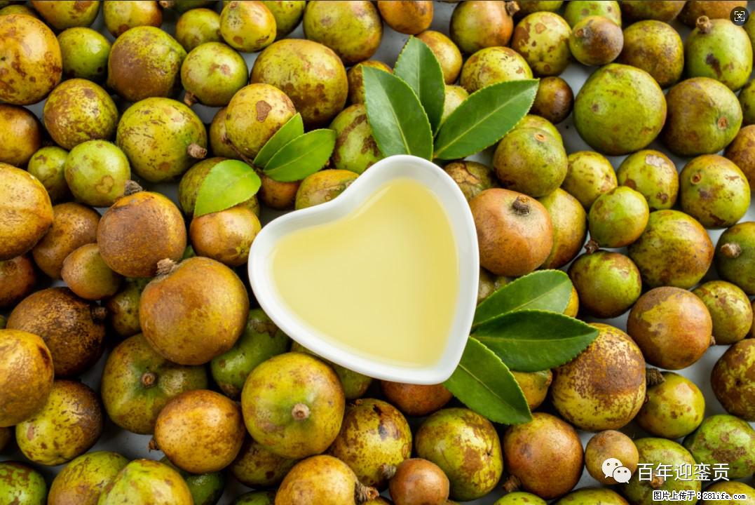 世界没有真相,只有认知,最好的食用油是中国的山茶油! - 乌鲁木齐生活资讯 - 乌鲁木齐28生活网 xj.28life.com