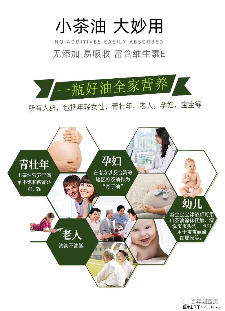 世界没有真相,只有认知,最好的食用油是中国的山茶油! - 乌鲁木齐生活资讯 - 乌鲁木齐28生活网 xj.28life.com