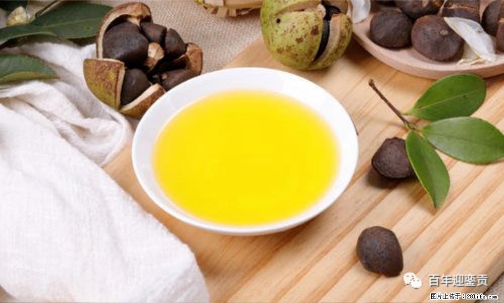 世界没有真相,只有认知,最好的食用油是中国的山茶油! - 乌鲁木齐生活资讯 - 乌鲁木齐28生活网 xj.28life.com