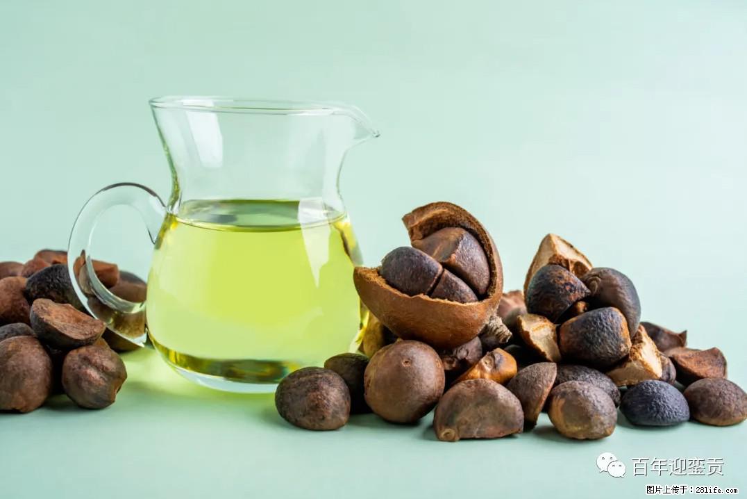 世界没有真相，只有认知，最好的食用油是中国的山茶油！ - 乌鲁木齐生活资讯 - 乌鲁木齐28生活网 xj.28life.com