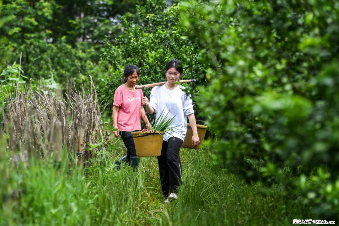 全网追的“扁担女孩”,找了一份暑假工,时薪12元 - 乌鲁木齐生活资讯 - 乌鲁木齐28生活网 xj.28life.com
