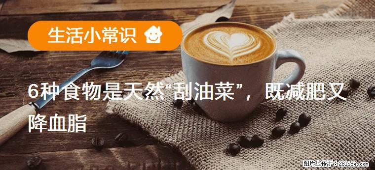 【生活小常识】6种食物是天然“刮油菜”,既减肥又降血脂 - 乌鲁木齐生活资讯 - 乌鲁木齐28生活网 xj.28life.com