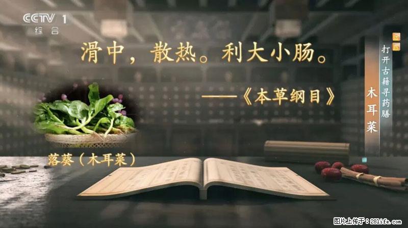 比牛奶补钙还厉害!凉血解毒、稳血糖...这菜冬天必吃,很多人却当草 - 乌鲁木齐生活资讯 - 乌鲁木齐28生活网 xj.28life.com