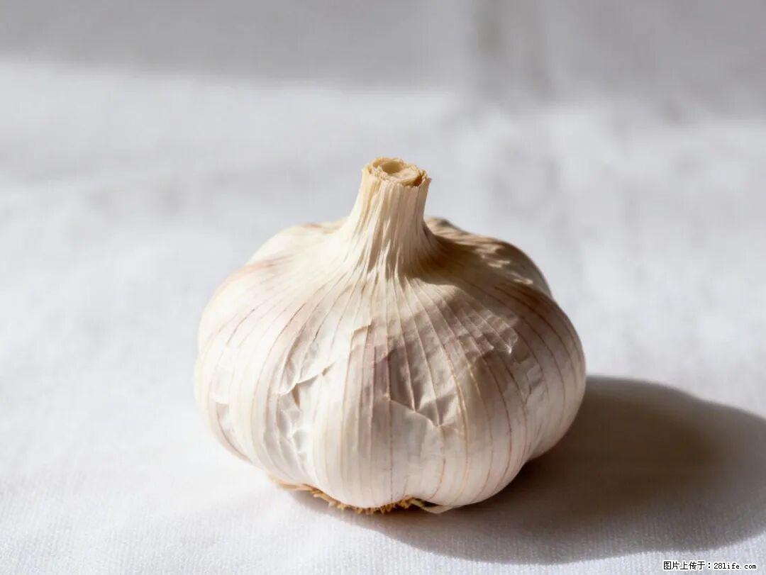 关于大蒜，除了“天然抗生素”，这4个谣言更该警惕! - 乌鲁木齐生活资讯 - 乌鲁木齐28生活网 xj.28life.com