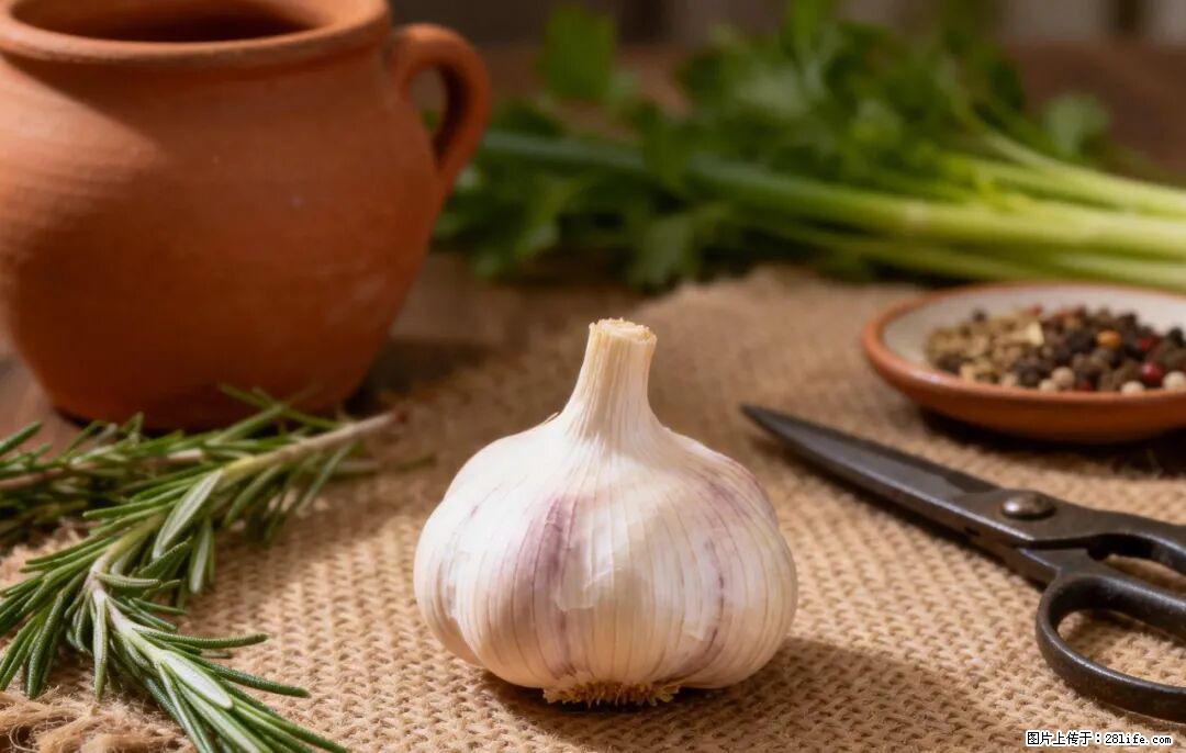 关于大蒜，除了“天然抗生素”，这4个谣言更该警惕! - 乌鲁木齐生活资讯 - 乌鲁木齐28生活网 xj.28life.com